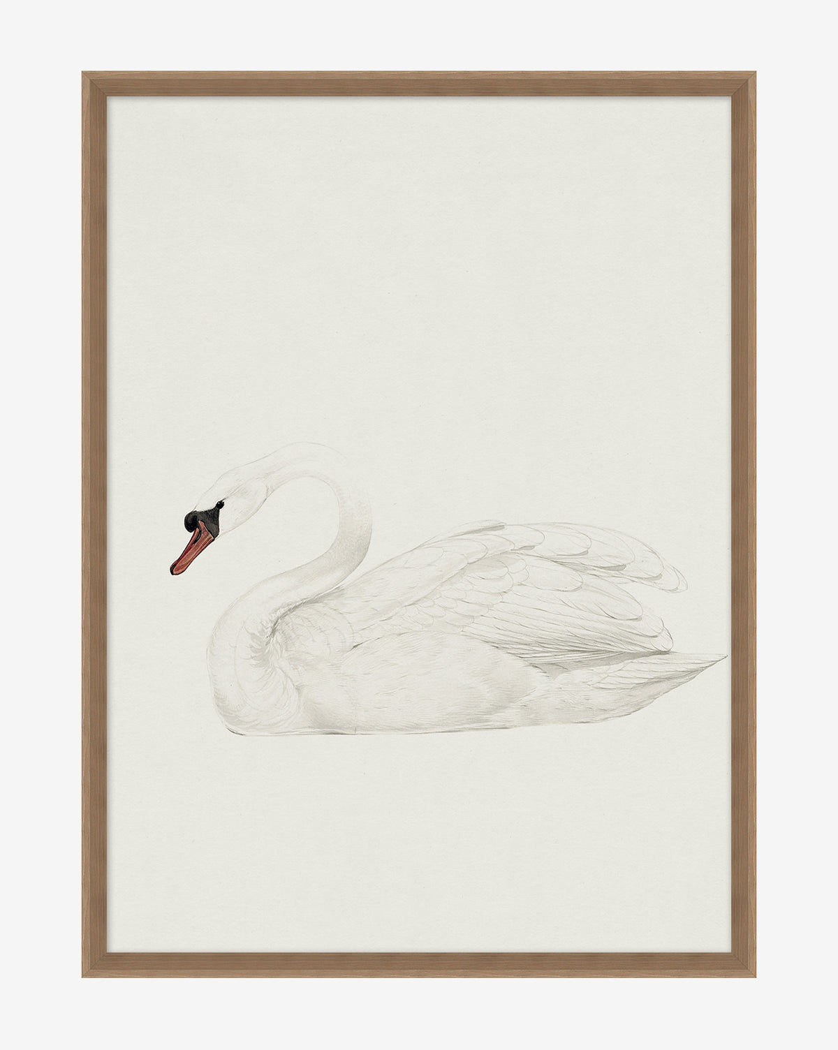 Wendover, Neutral Swan