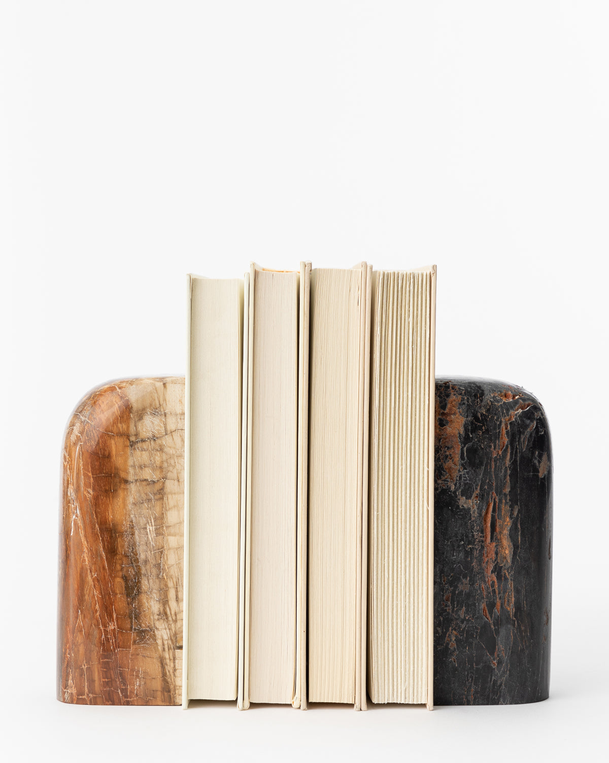 Makerspalm, Petrified Wood Bookends (Set of 2)