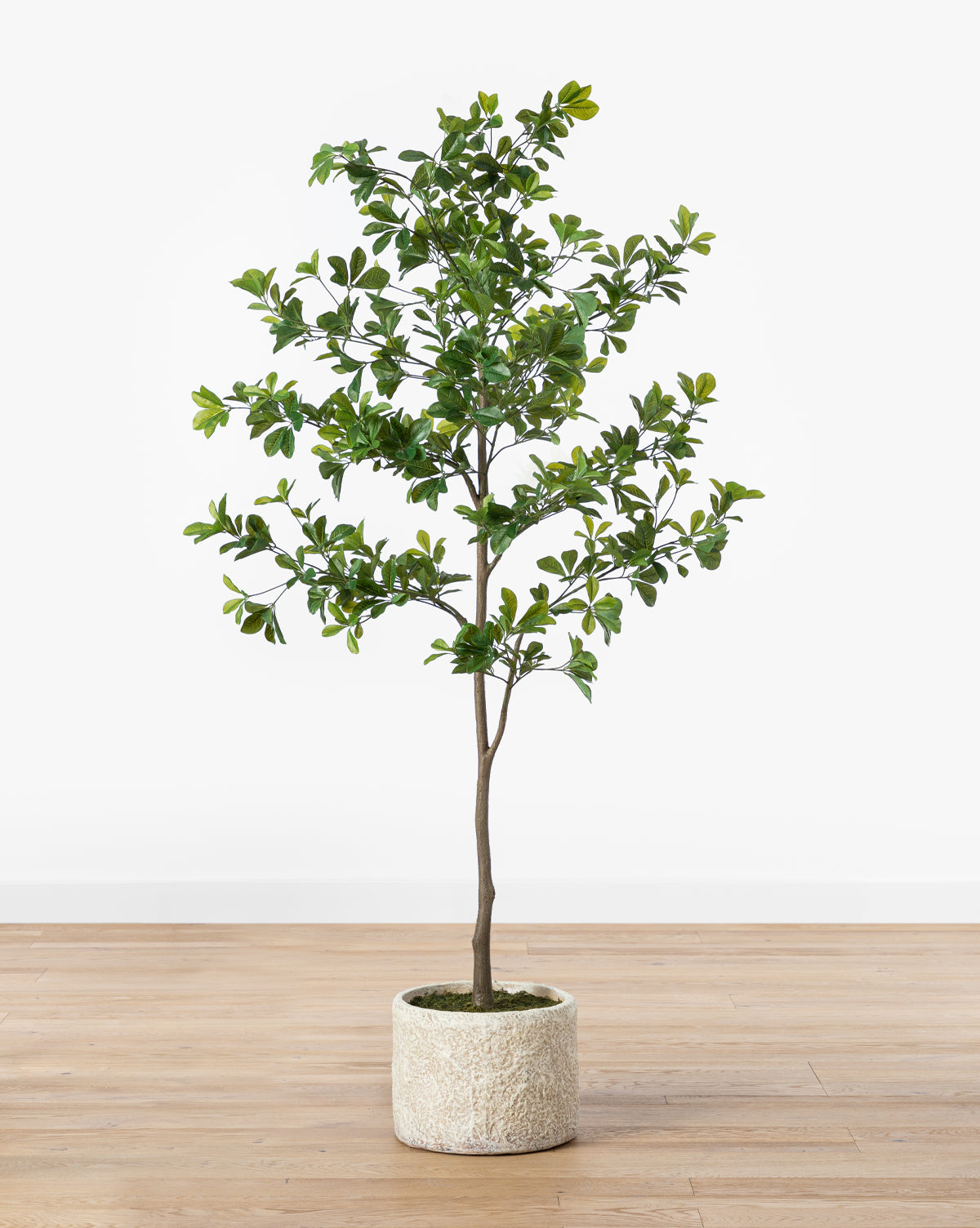 UCP INTERNATIONAL COMPANY LIMITED, Shady Lady Faux Tree